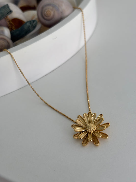 Collar flor de Margarita 🌼